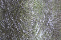 Polborder fibreglass roof work